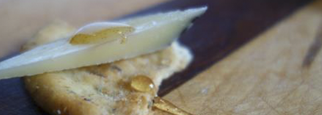 iberico-cheese-torta-img