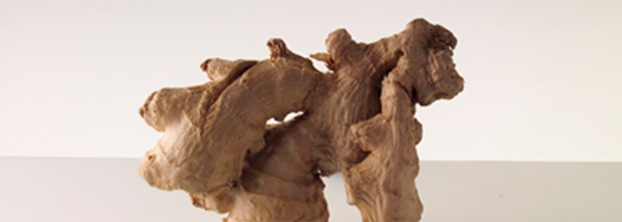 Ginger - IMG