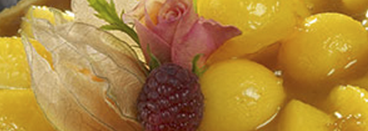 Persimon® Cream Pie - IMG