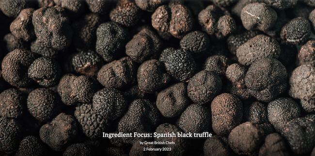 Black Truffle