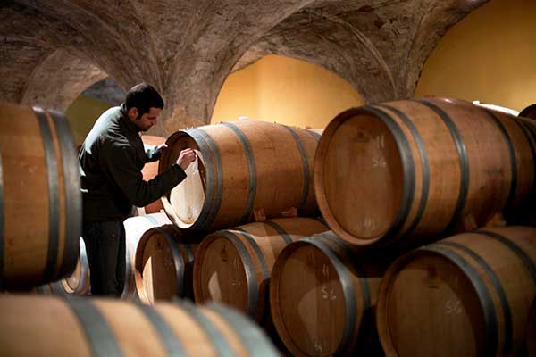 ¡Adelante! A Renewed Focus for Spain by Harpers Wine &amp; Spirit