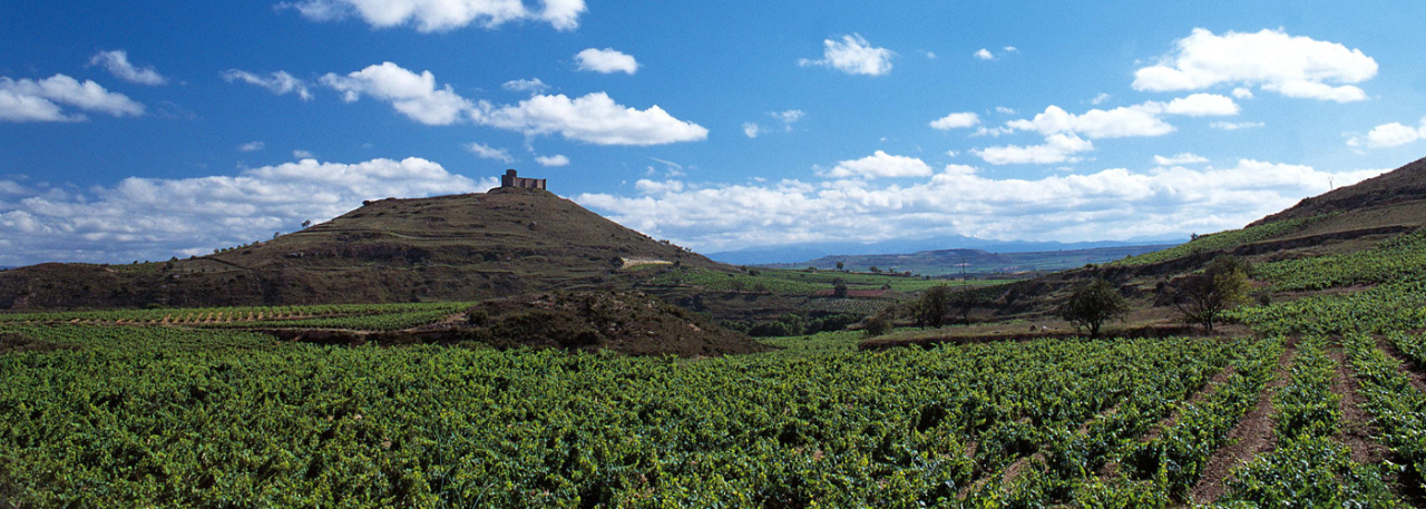 DOCa Rioja Ppal