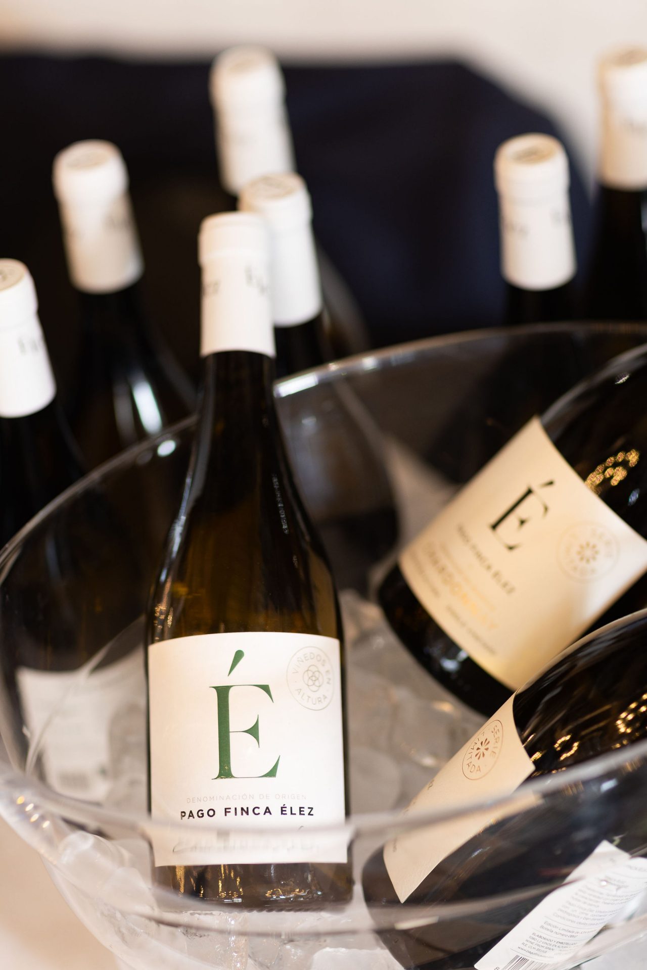 TASTE SPAIN LONDRES 2026 - 03