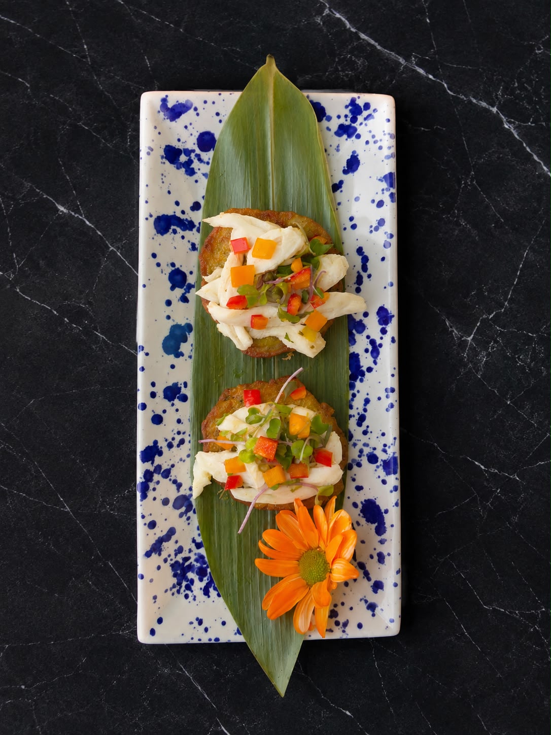 Tapa 1
