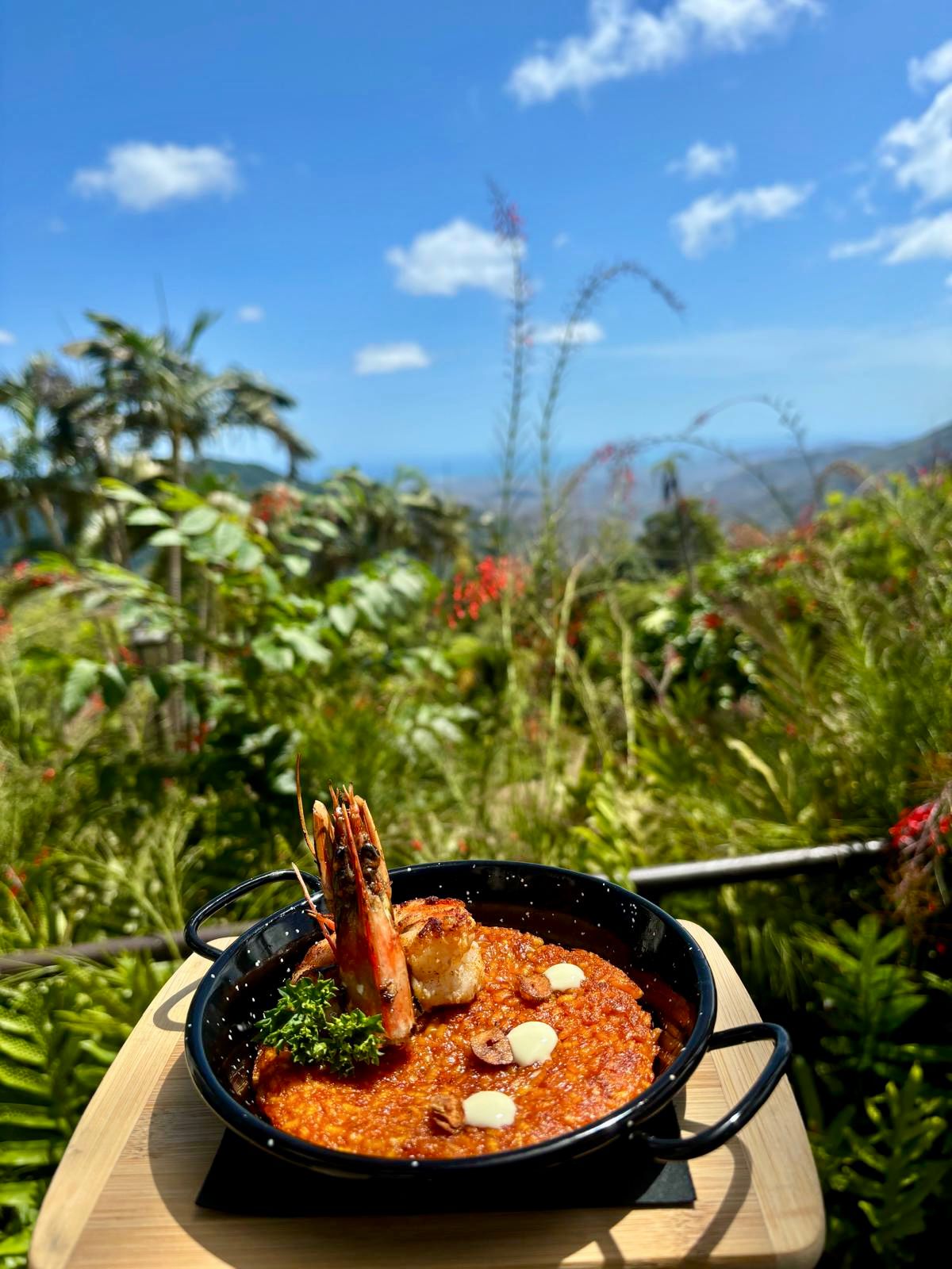 Tapa 2