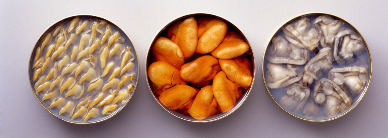 Still life of fish preserves