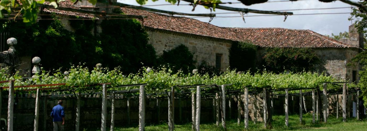 Rías Baixas vineyards. Photo: ICEX