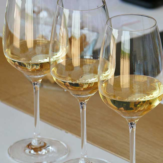 DO wines. Photo by: José I. Bardón (@DO Rueda)
