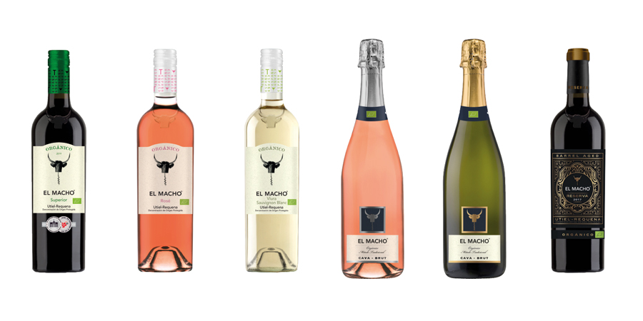 BVC Bodegas