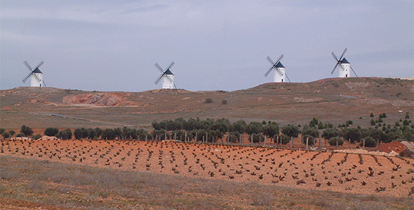 Spanish wines from DO La Mancha