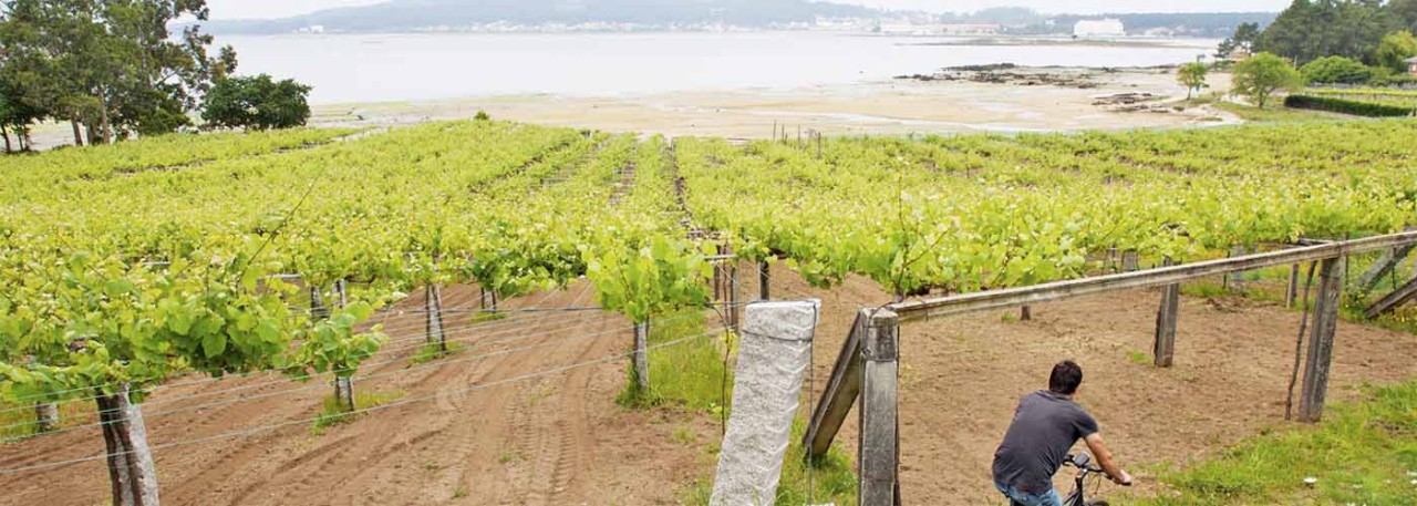 Rías Baixas Wine Route