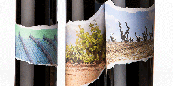 Spanish Wines. Photo: @ICEX