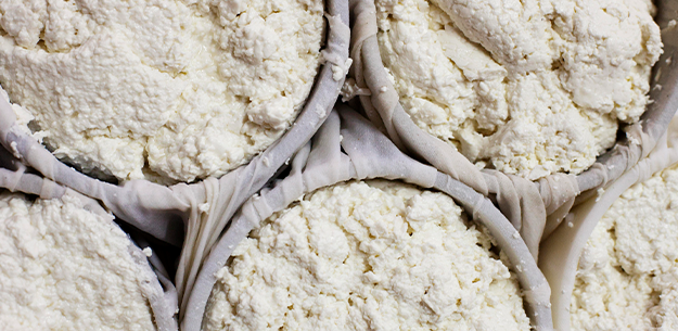 Spanish Cheeses
