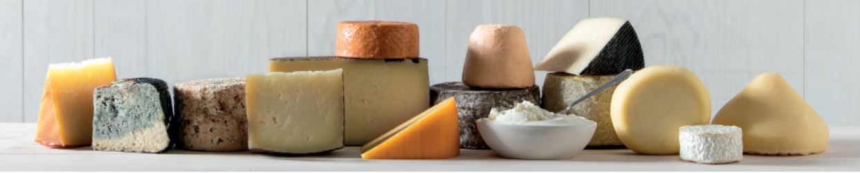 SPANISH CHEESES