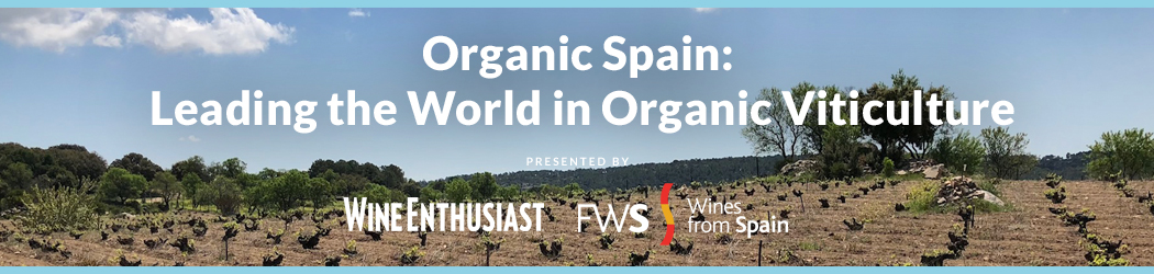 Wine Enthusiast Webinar