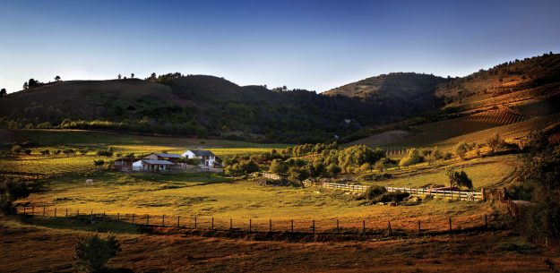 Authentic Bierzo