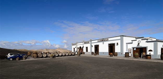 Lanzarote Wines