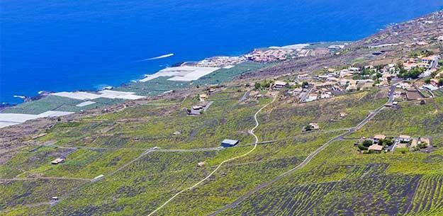 Canary Islands wines: La Palma