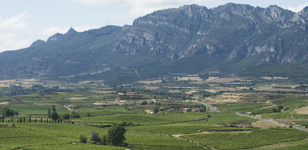 DOCa Rioja