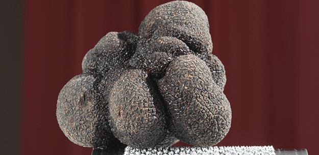 Spanish black truffle. Photo by Juan Barbacil.