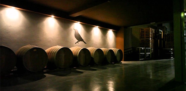 Viña Zorzal winery in Navarre