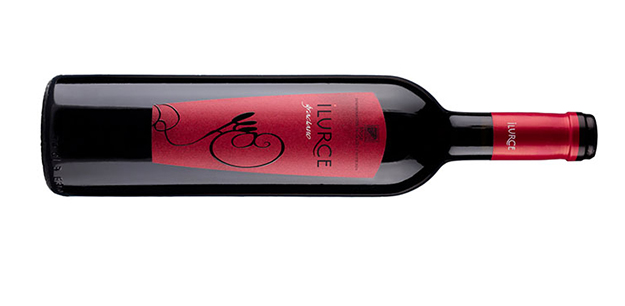 Graciano grape. Ilurce winery