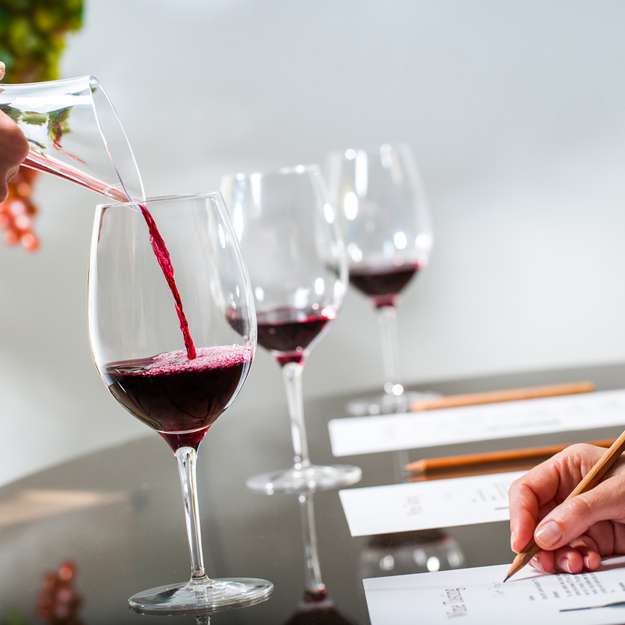Rioja vs. Ribera del Duero, Dueling Tempranillos