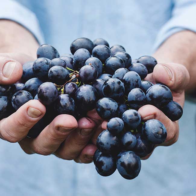 Rioja’s carbonic maceration wines