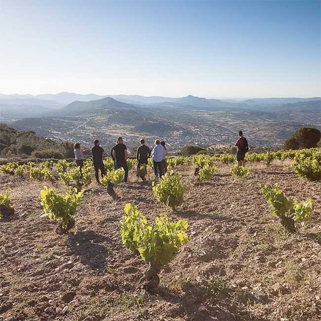 PDO Cebreros: Sarah Jane Evans MW, Fernando Mora MW, Piort Pietras MS and Agustín Trapero visit this Spanish wine area.