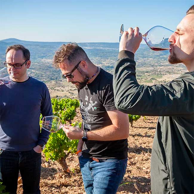 PDO Cebreros: Sarah Jane Evans MW, Fernando Mora MW, Piort Pietras MS and Agustín Trapero visit this Spanish wine area.