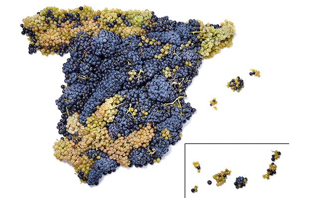Spanish wine varieties. /@ICEX