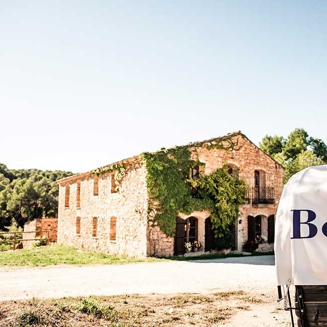 Organic wines in Spain. Photo by Bodegas Venta D’Aubert.