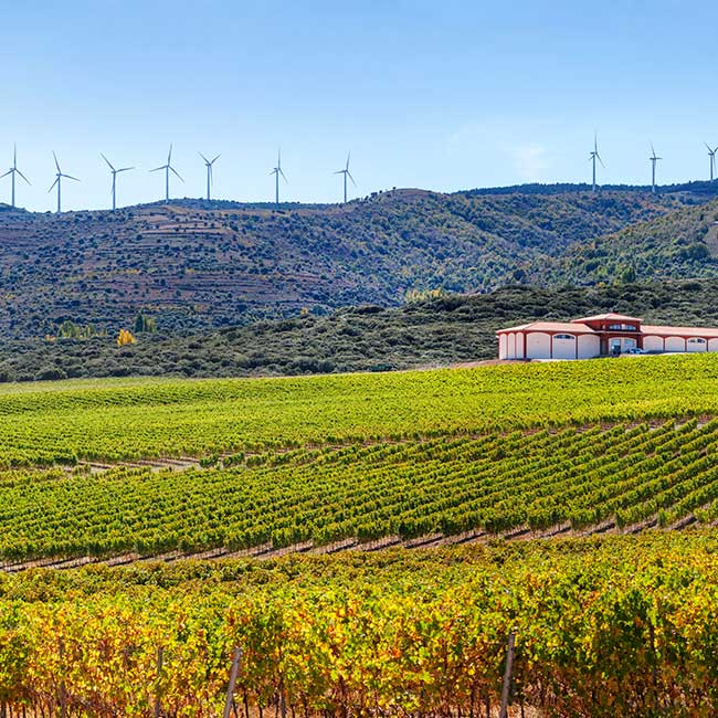 Finca Carboneras vineyard of Barón de Ley winery in the DOCa Rioja