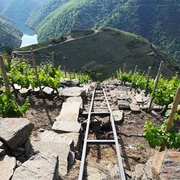 DO Ribeira Sacra. Photo by: DO Ribeira Sacra