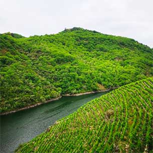 DO Ribeira Sacra. Photo by: @ICEX
