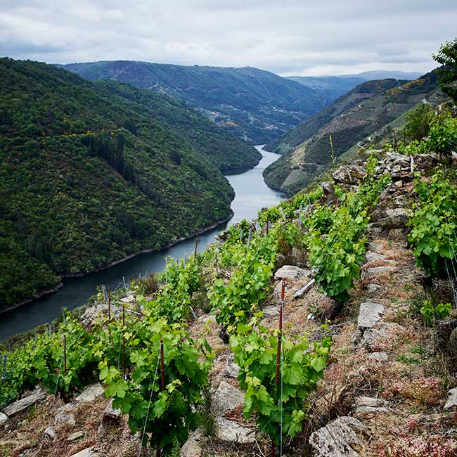 DO Ribeira Sacra. Photo by: @ICEX