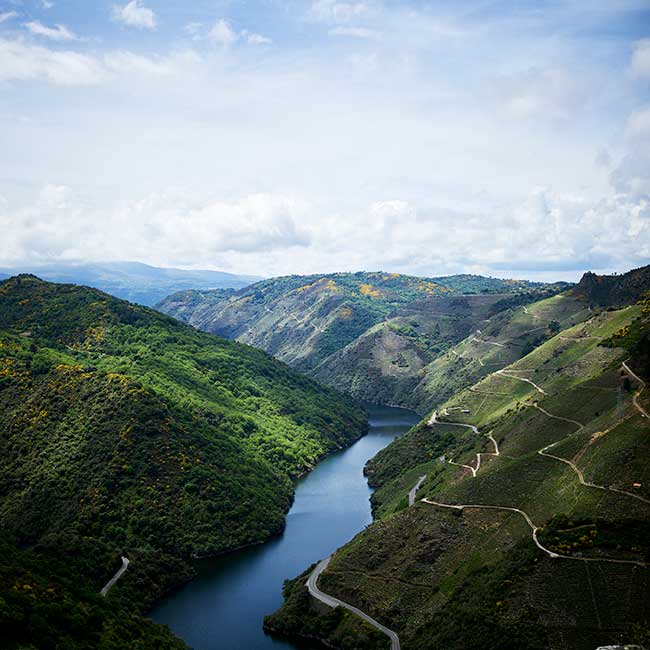 DO Ribeira Sacra. Photo by: @ICEX