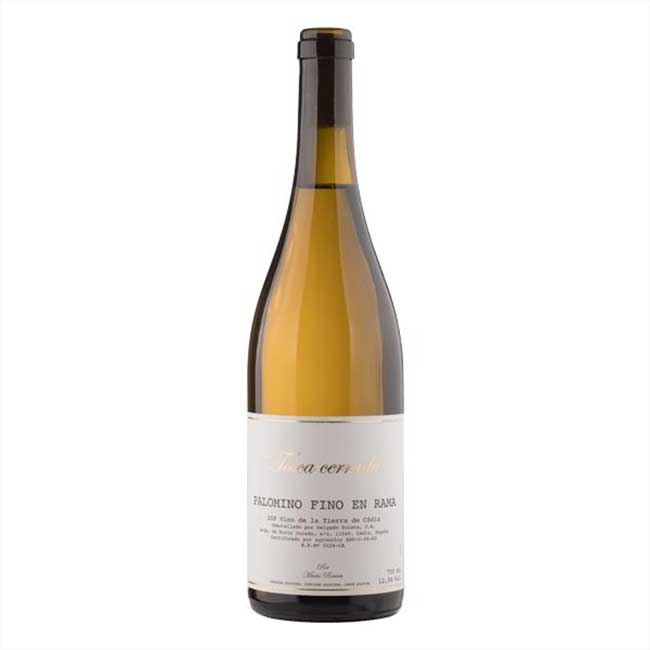 Unfortified wines from Cádiz. Tosca Cerrada, Palomino Fino. Photo by: Tosca Cerrada