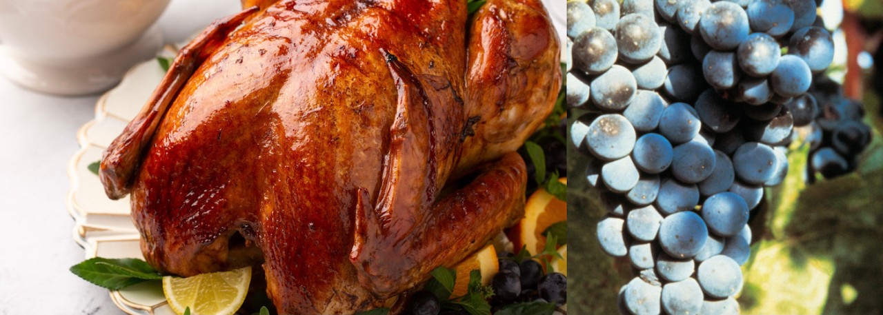 Wine and Turkey pairings