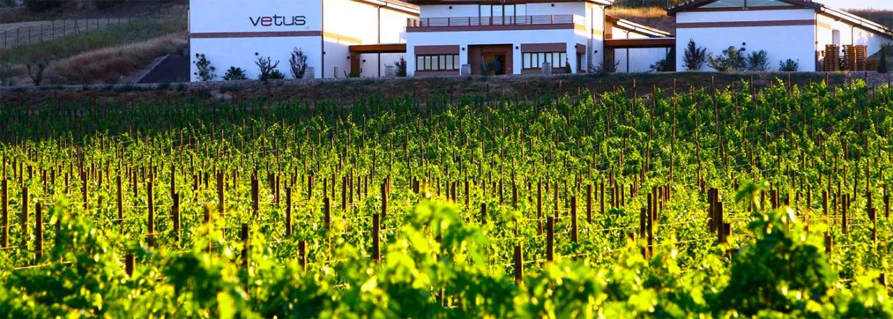 Vetus winery in DO Toro