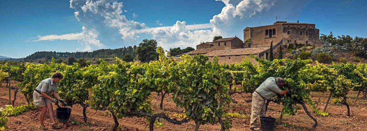 Bodegas Torres. Photo by: Torres