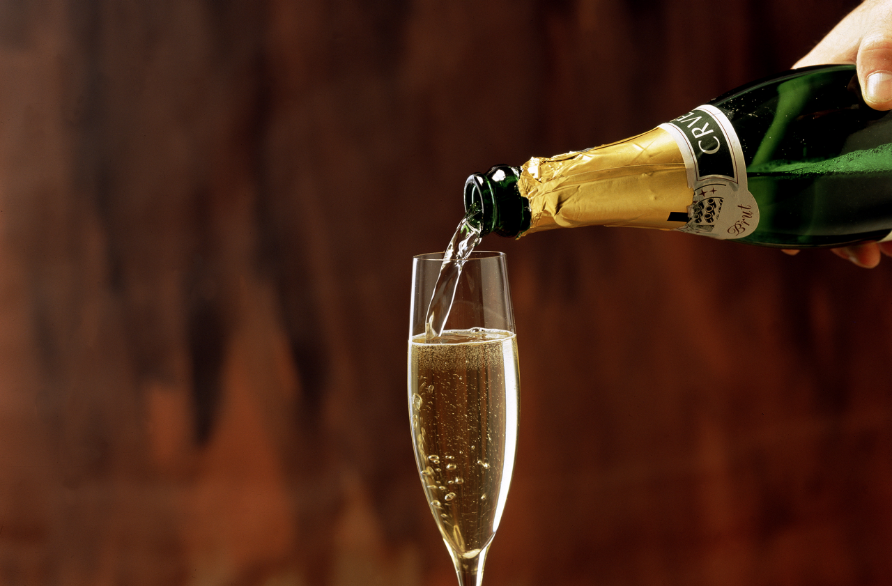 elevate your holiday 