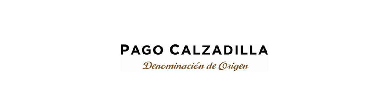 VP Pago Calzadilla Log
